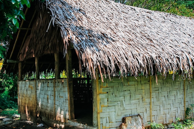 A natureza virgem da Nova Caledônia com suas belas paisagens