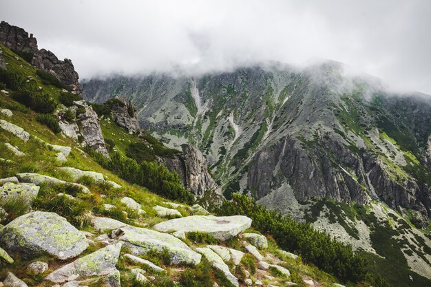 A névoa caindo sobre o tatras, eslováquia.