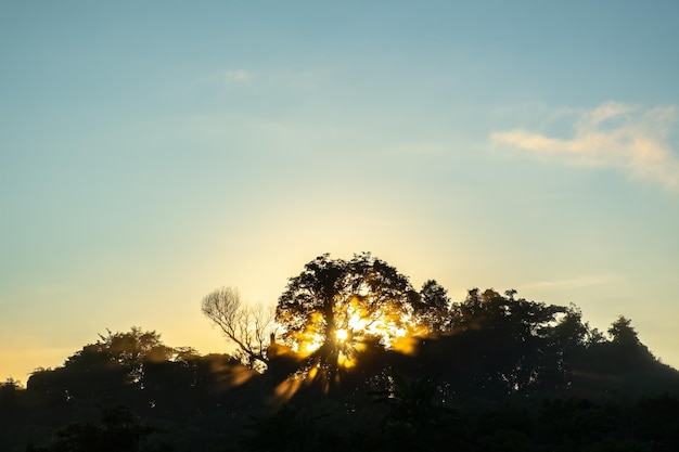 A névoa que atinge a luz do sol pela manhã tem uma bela cor laranja.