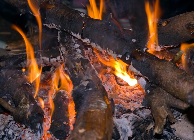 A noite incendeia acampamento turístico