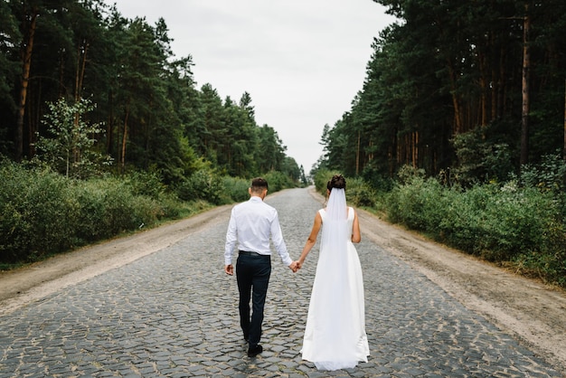 A noiva e o noivo voltam e caminham de mãos dadas na natureza Vista traseira Recém-casados ao ar livre País de noivado
