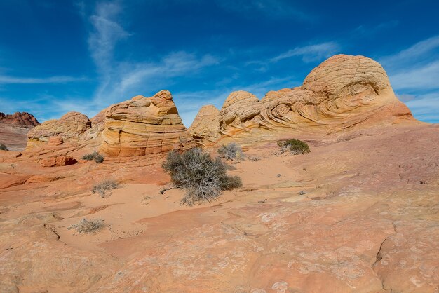 A onda, arenito do Navajo, o Arizona