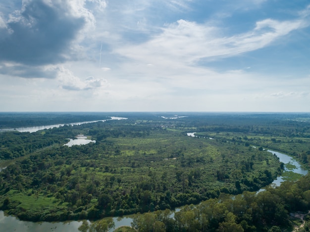 A paisagem aérea da curva da floresta e do rio no céu azul das alturas nubla-se no verão.