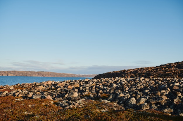 A paisagem bonita do dia de verão abandonou a defesa litoral do artnature Teriberka norte, opinião do mar de Barents.