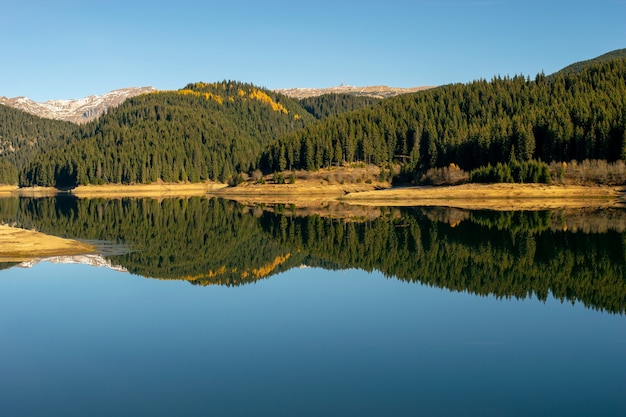 A paisagem da floresta acima da água, a floresta e as árvores são refletidas na água