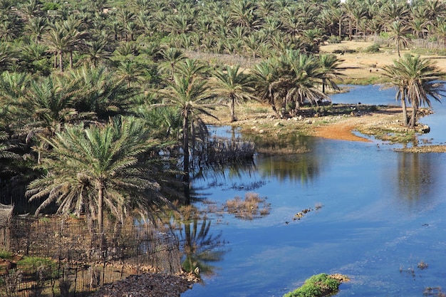 A paisagem da ilha de Socotra Oceano Índico Iêmen