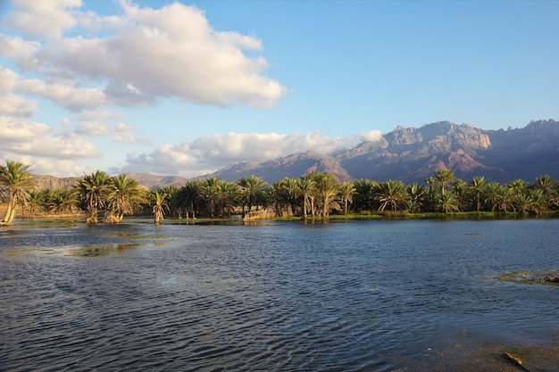 A paisagem da ilha de Socotra Oceano Índico Iêmen