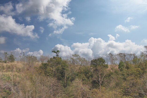 A paisagem da montanha durante o dia para projetar em seu trabalho.