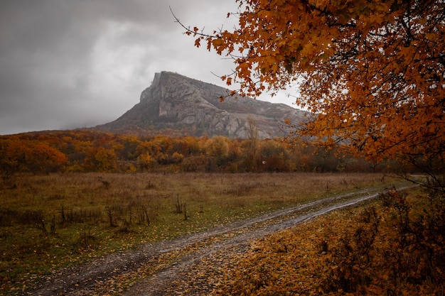 A paisagem de outono de montanha com floresta colorida