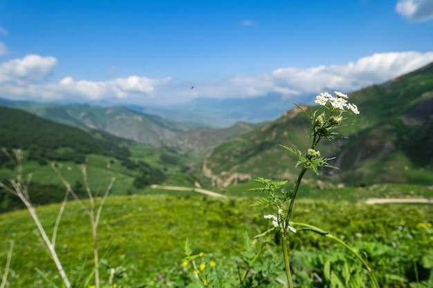 A paisagem do Aktoprak verde passa no Cáucaso a estrada e as montanhas sob nuvens cinzentas KabardinoBalkaria Rússia