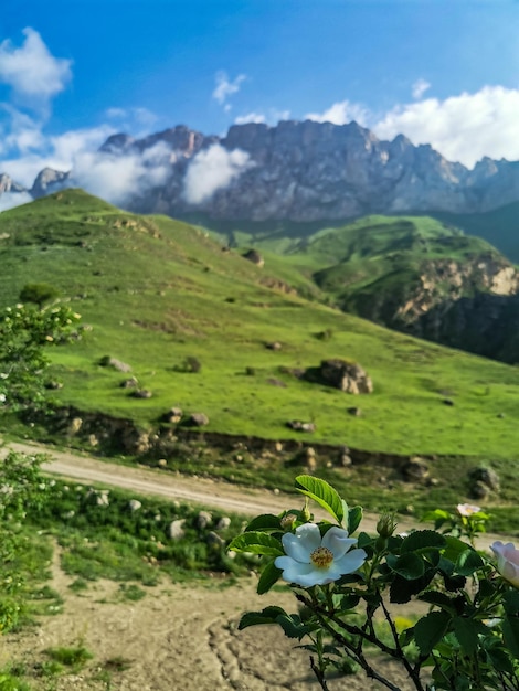 A paisagem do Aktoprak verde passa no Cáucaso a estrada e as montanhas sob nuvens cinzentas