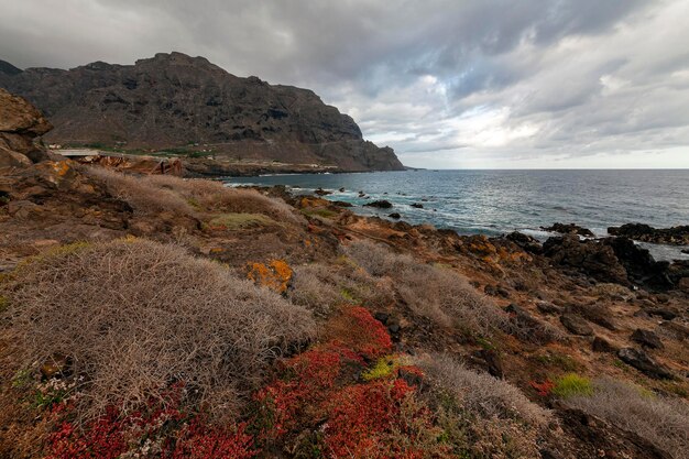 A paisagem marítima da ilha de Tenerife As Ilhas Canárias