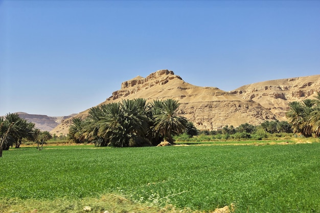 A paisagem nas montanhas em Wadi Hadhramaut Yemen