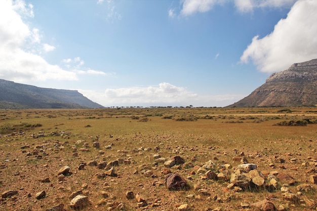 A paisagem no planalto de Homhil, ilha de Socotra, oceano Índico, Iêmen