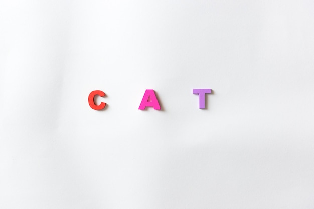 A palavra gato em letras coloridas em um fundo branco