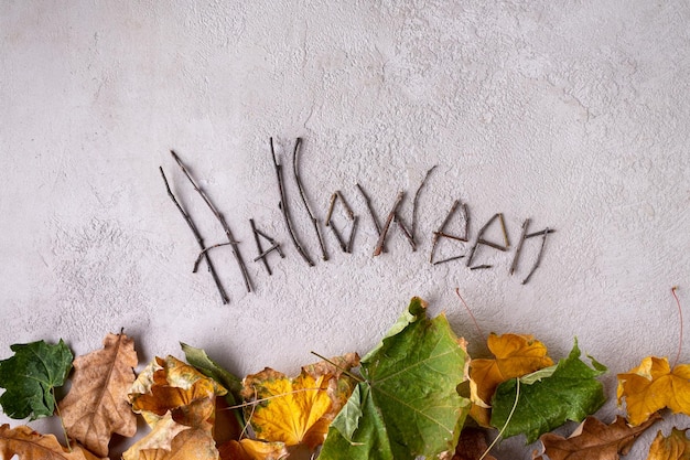 A palavra Halloween é feita de galhos e folhas de outono em gesso cinza