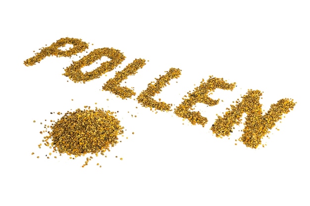 A palavra pólen colocada com grão de pólen amarelo sobre fundo branco com perspectiva diagonal