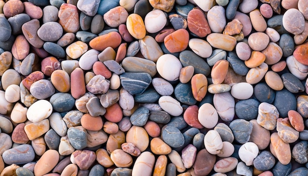 A paleta da natureza em plena exibição com uma variedade de cores e formas