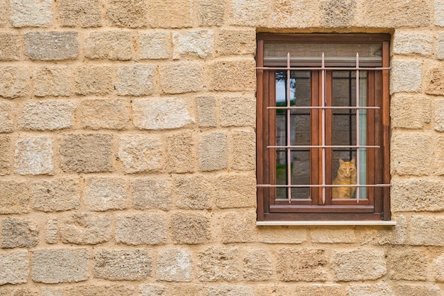 A parede da velha casa com uma janela o gato olha pela janela as ruas da cidade medieval de Rodes, início da temporada de viagens a lugares populares no arquipélago do Dodecaneso, Grécia