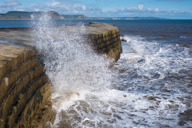 A parede do porto de cobb em lyme regis