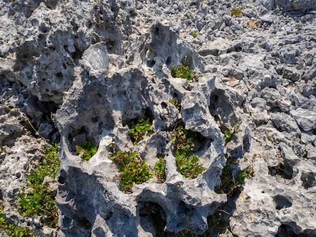 A pedra de textura de uma rocha no Monte Dirfys na Grécia