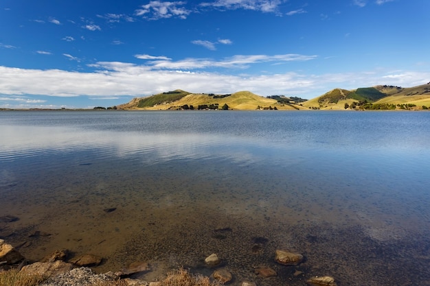 A península de otago perto de dunedin na nova zelândia