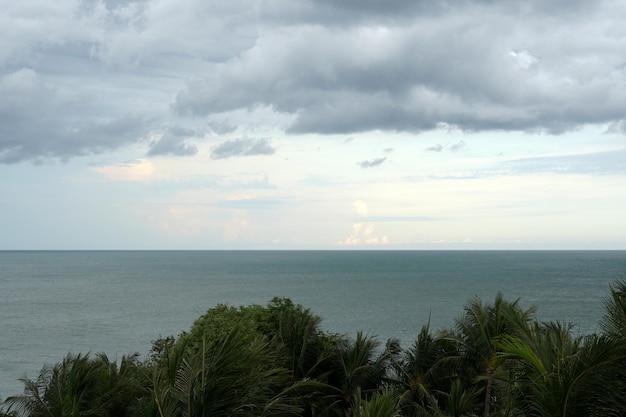 A perspectiva da costa olhando árvores, mar e nuvens nimbus no céu