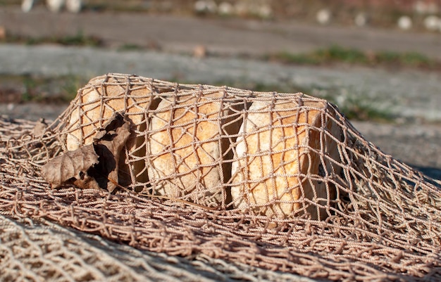 A pesca flutua sob a rede na textura do solo Bobbers