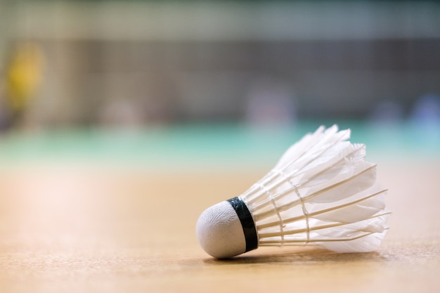 A peteca pôs sobre a corte de badminton do assoalho - para o fundo do esporte.