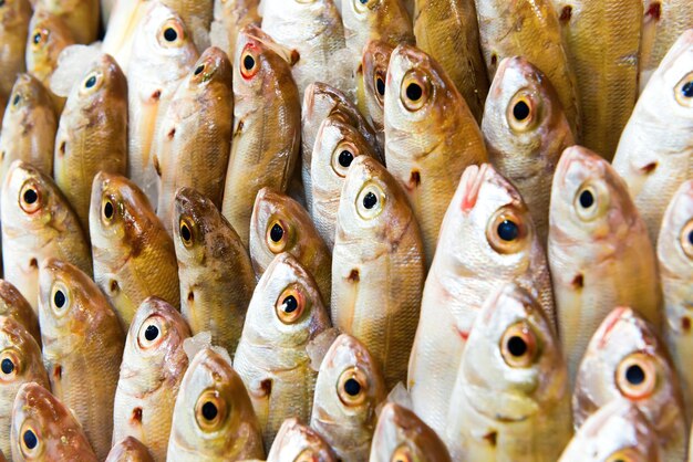 Foto a pilha de peixe fresco no mercado de frutos do mar pode ser usada como fundo de comida