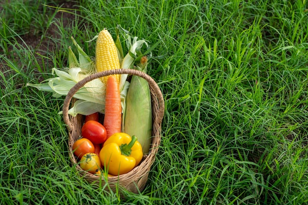 A pilha de vegetais na cesta de bambu na grama verde na agricultura orgânica