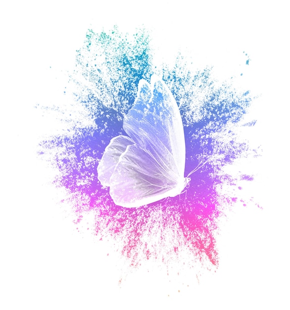 Foto a pintura colorida espirra com borboleta isolada em um fundo branco. impressão para o designer