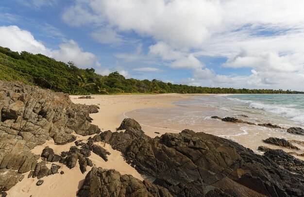 A pitoresca praia do Caribe ilha Martinica Índias Ocidentais Francesas