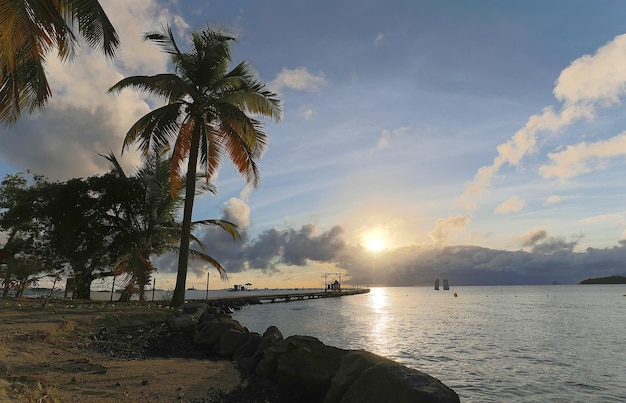 A pitoresca praia do Caribe ilha Martinica Índias Ocidentais Francesas