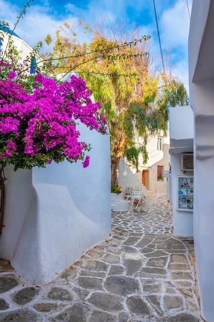 Foto a pitoresca rua da cidade de naousa, na ilha de paros, na grécia