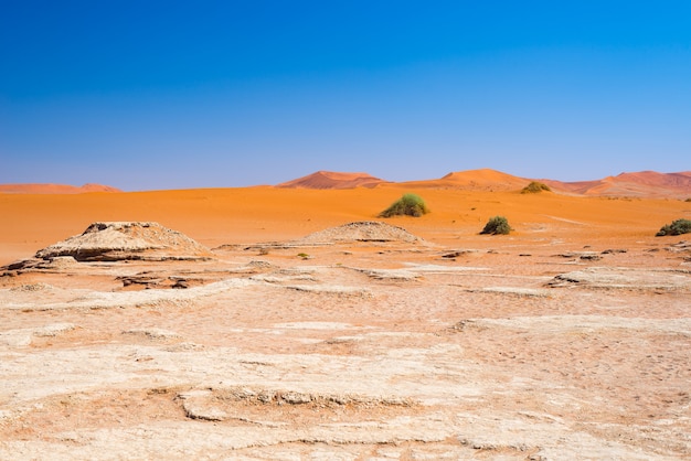 A pitoresca Sossusvlei e Deadvlei, argila e sal pan cercada por dunas de areia majestosas.