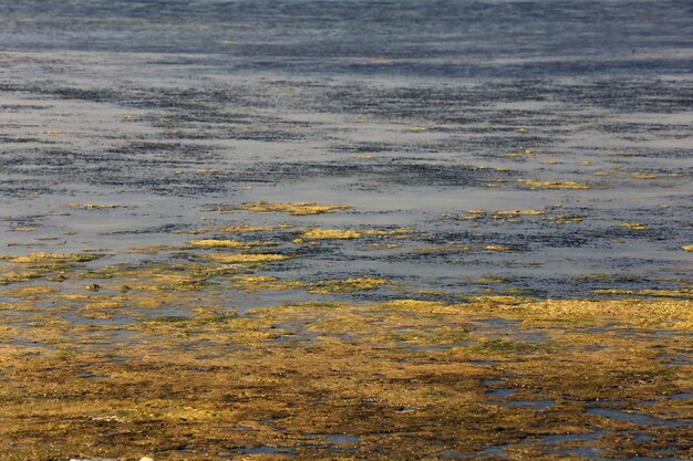 A poluição da água é a contaminação das fontes de água por substâncias