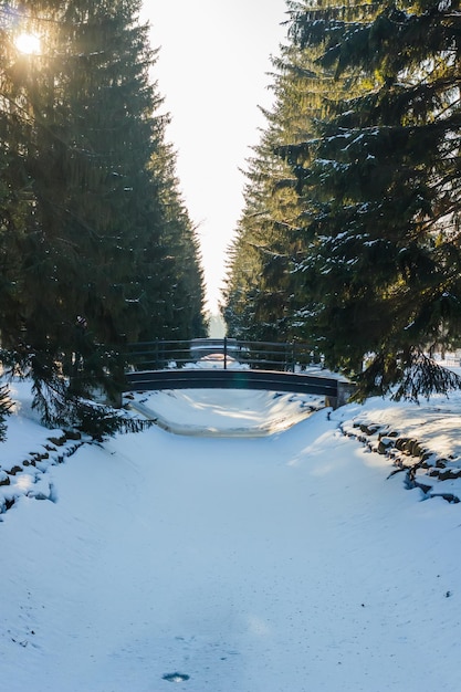 A ponte do Parque Catherine no inverno com tempo ensolarado