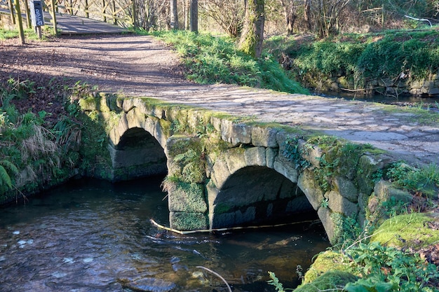 Foto a ponte medieval de sardoma que atravessa o rio lagares em vigo, espanha