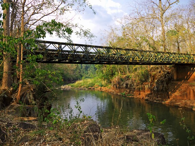 A ponte na selva, Laos