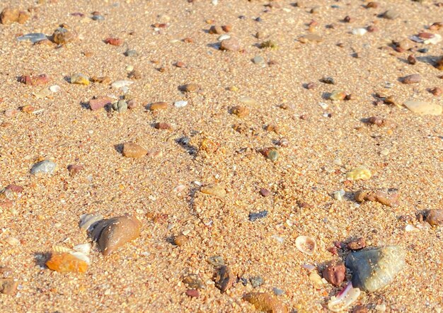 A praia de areia à beira-mar é um espetáculo para ser visto com areia dourada e macia Faz você se sentir revigorado