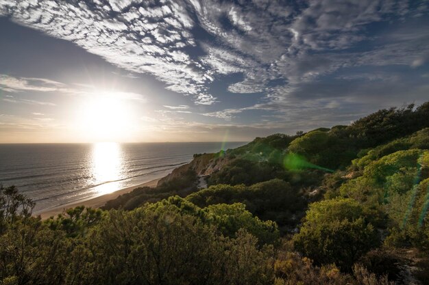 Foto a praia de el arenosillo caracteriza-se por ser uma praia virgem de areia fina e dourada