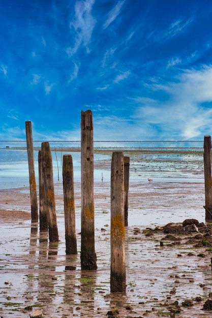 A praia de Texel com céu azul