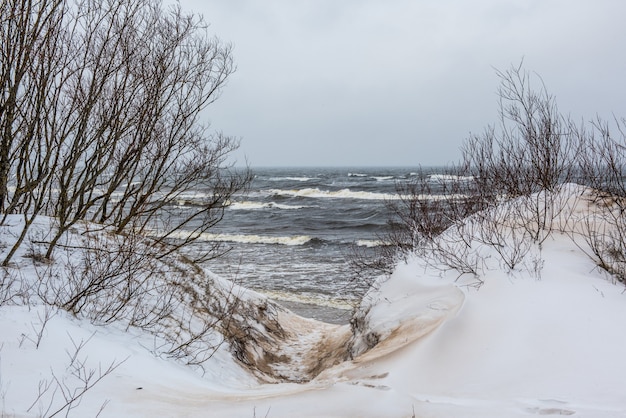 A praia do Mar Báltico tem neve no inverno e há grandes ondas no mar. Trilha entre as dunas de inverno do Mar Báltico em Saulkrasti, na Letônia