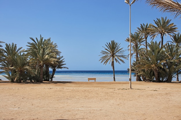 A praia do Mar Vermelho na Arábia Saudita