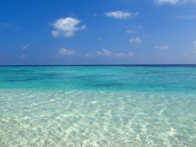 A praia nas Maldivas, Oceano Índico, atol de Ari do Norte