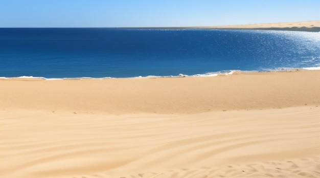 A praia no deserto é um belo lugar para se estar.