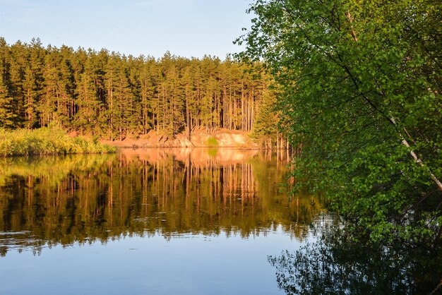 A primavera chegou no parque nacional na Rússia central