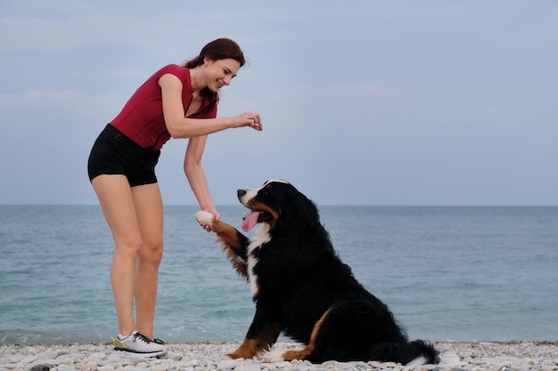 A raça de cão de família amigável e ativa Bernese Mountain Dog está de férias na praia Garota ruiva caucasiana está de pé em traje de banho na praia de seixos e ensina seu cachorro a dar a pata para um deleite saboroso