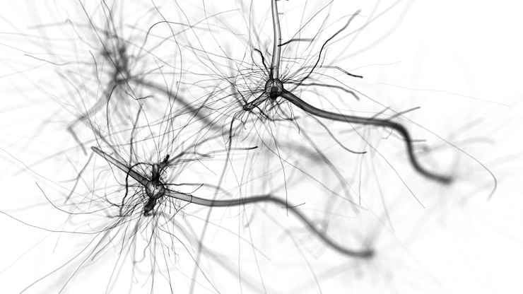 Foto a rede celular do neurônio 3d rendeu a imagem horizontal abstrata no fundo branco